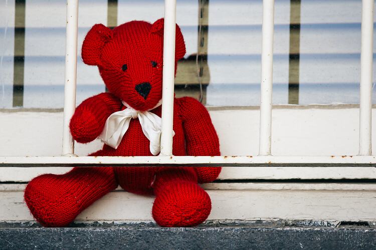 Teddy placed in window behind bars.