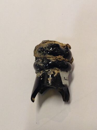 Top section of green bottle that includes the cork, finish and wire.