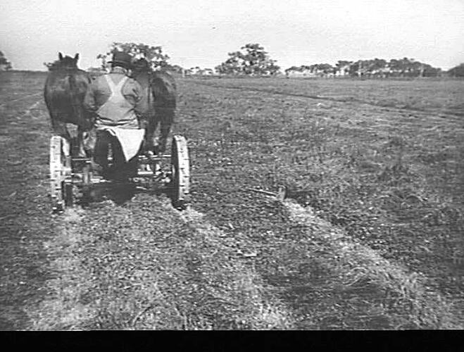 NEW TYPE 2 HORSE MOWER: 19-4-48