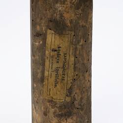 Irregularly shaped timber sample. Back view.