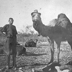 Negative - Man with Camel Wearing Hat, Cul Culli District, Western Australia, circa 1926