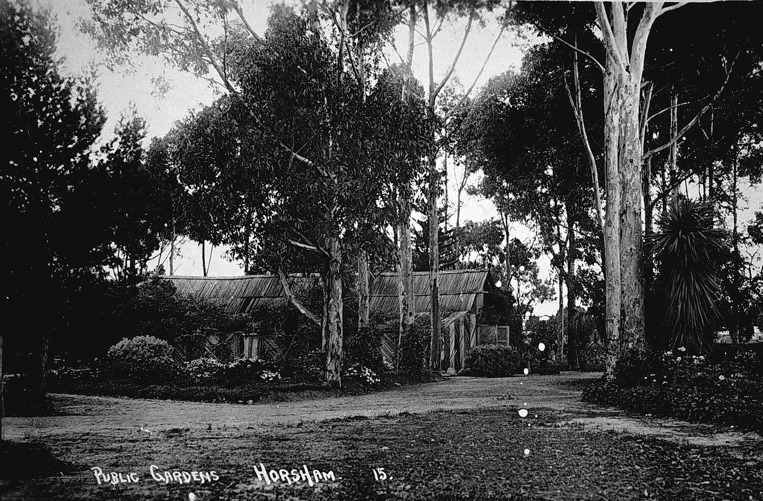 Negative Horsham, Victoria, circa 1925