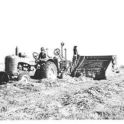 Photograph - H.V. McKay Massey Harris, Farm Equipment Manufacture & Field Trials, Werribee, Victoria, Jan 1952