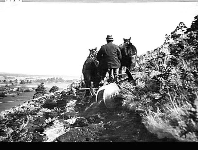 `SUNGRADE' REVERSIBLE PLOUGH AT WORK ON MR. W. B. HARBOUN'S FARM AT MOUNT BUNINGYONG, VIC. SEPT 1933