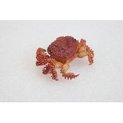 <em>Actaea peronii</em>, Thorn-legged Crab. [J 15994]