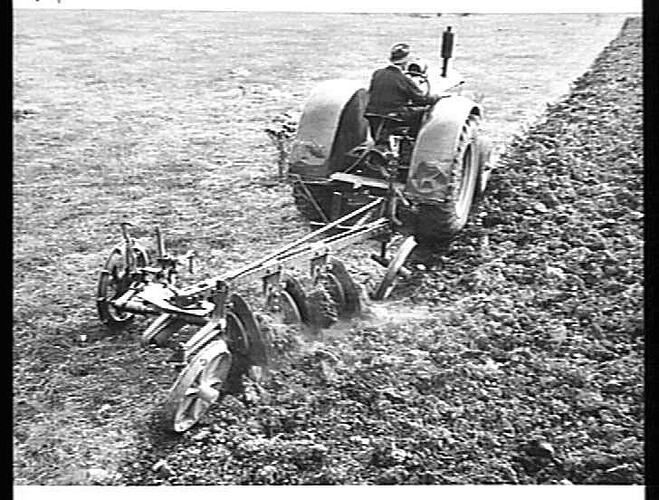 A 3-FURROW SUNNIE OVERBEAM NO. 2 DISC PLOUGH IN HARD SUNBAKED CLAY SOIL AT ALBION, VICTORIA, APRIL, 1953