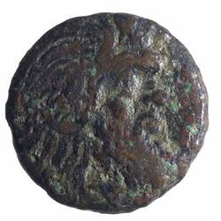 Coin - Bronze, Tauric Chersonese, Panticipaeum, circa 350 BC