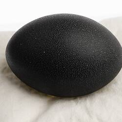 Our Wondrous Planet, Our Wild Family: Egg - Emu, <em>Dromaius novaehollandiae novaehollandiae</em>