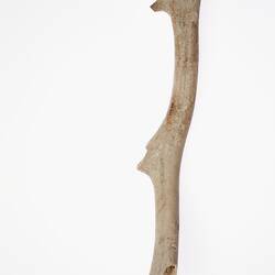 Pick. Grime's Graves, Norfolk, England, United Kingdom. Late Neolithic period