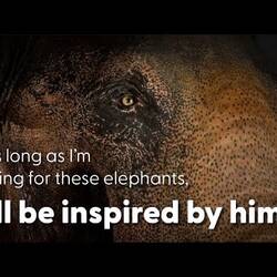 How taxidermy honours a beloved Asian Elephant | The Journey of Bong Su