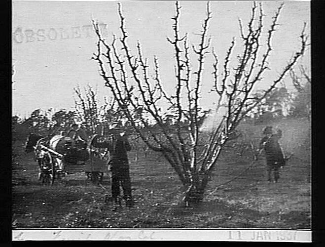 Photograph - H. V. McKay factory and/or equipment