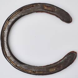 Horseshoe - Phar Lap, Agua Caliente, 1932