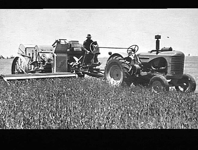 Photograph - H. V. McKay factory and/or equipment