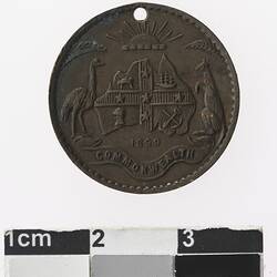 Round bronze coloured medal with coat of arms.