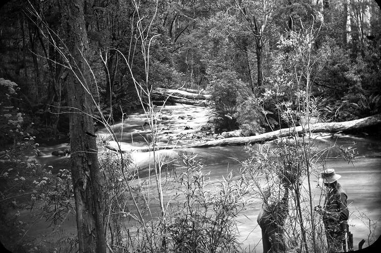 Lantern Slide - Upper Yarra Track, Dandenongs, Victoria, circa 1904 [BA 1583]