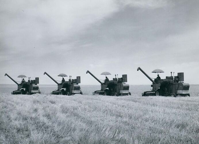 Four Auto Header Harvesters in line, in wide open wheat field,