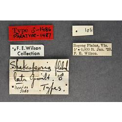 Entomology type specimen labels.