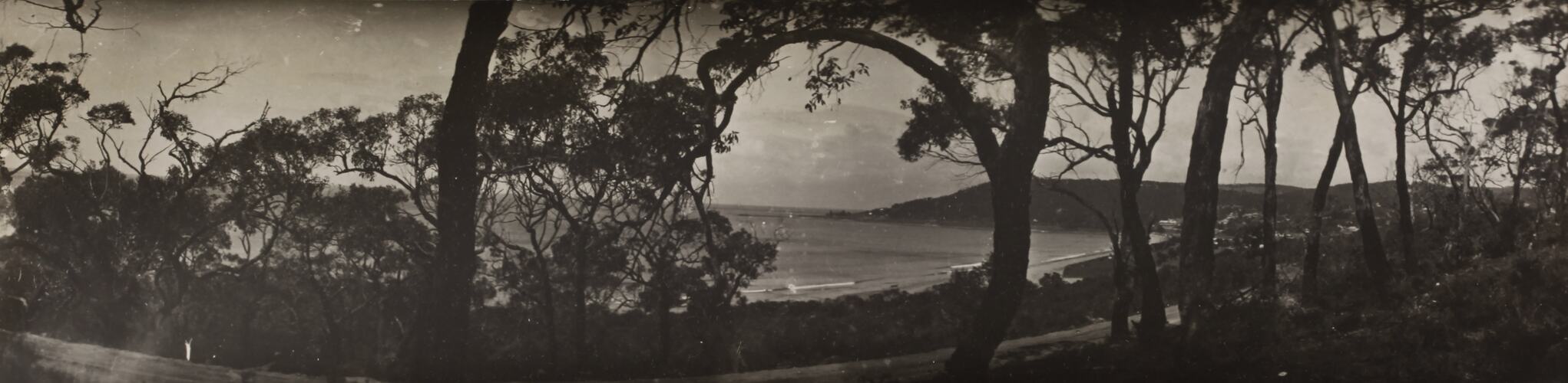 Photograph - Coastal Landscape, Lorne, Victoria, circa 1920s