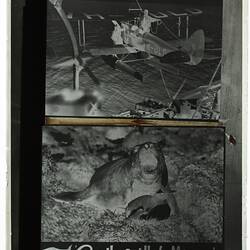 Glass Negative - Copy of 'Southward Ho! With Mawson', Frank Hurley, Antarctica, 1929-1930