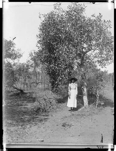Glass plate