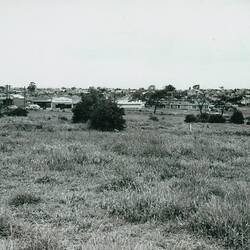 Photograph - Kodak Australasia Pty Ltd, View of Kodak Factory Site with Suburban Housing, Coburg, c1956