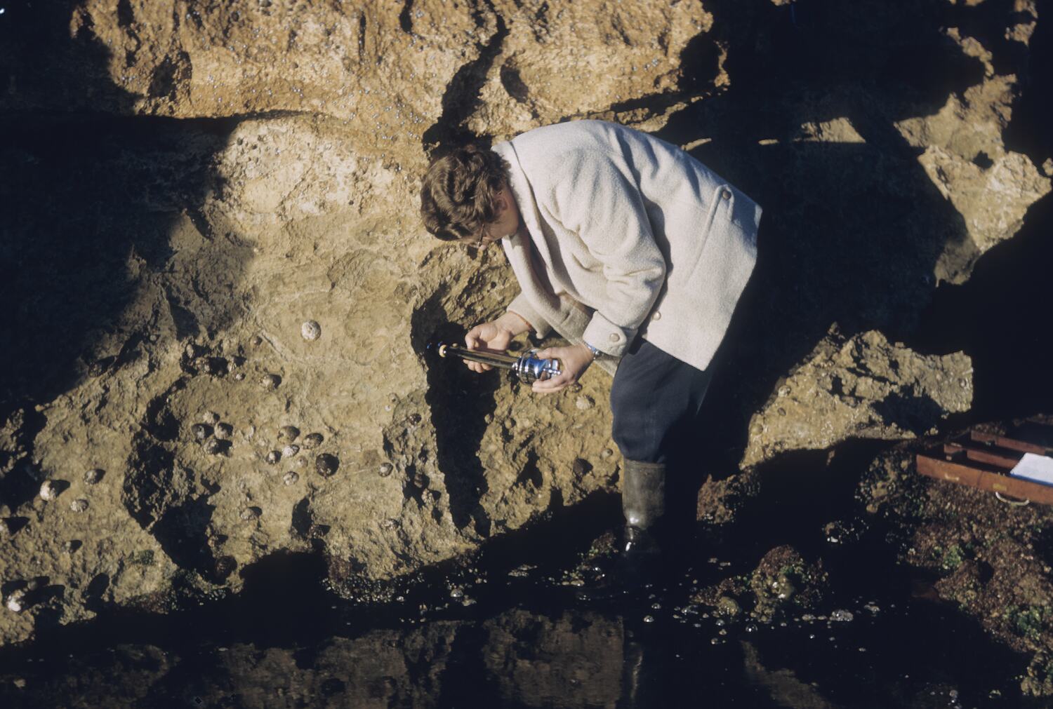 Elliston Museum at Maria Houchin blog