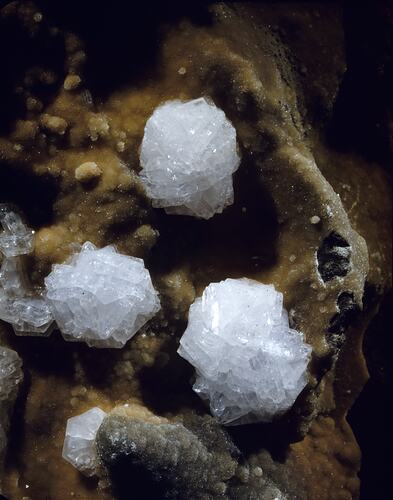White crystal patches on a brown rock.