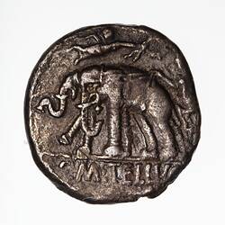 Coin - Denarius, C. Caecilius Metellus Caprarius, Ancient Roman Republic, 125 BC