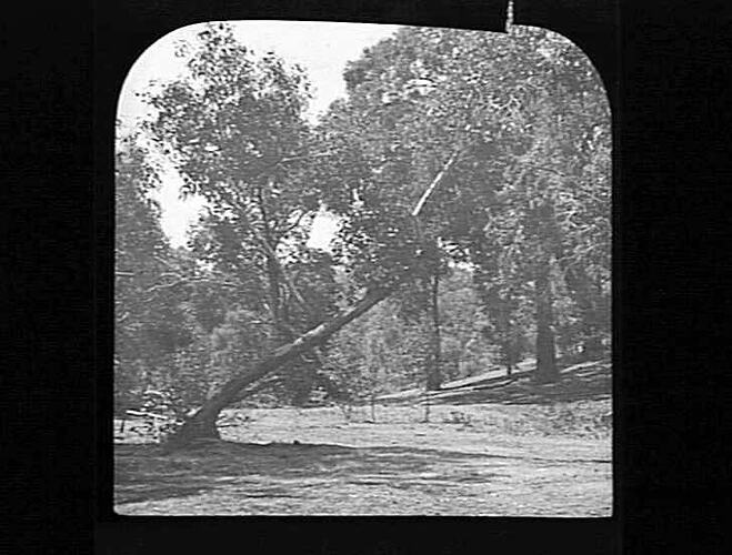 Lantern Slide