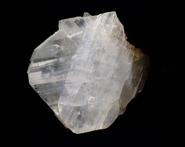 Epididymite. [M 38900]