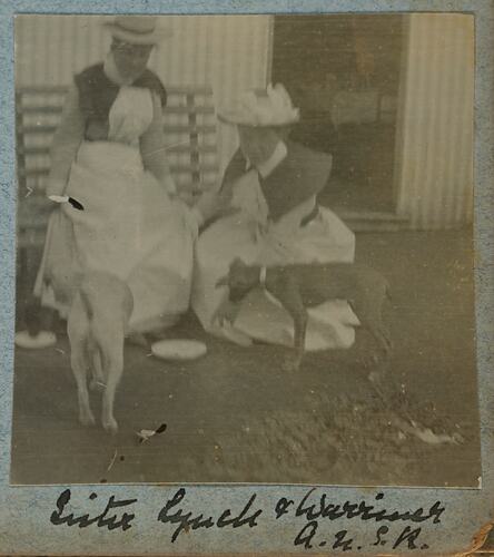 Two nurses sitting on bench playing with two dogs.
