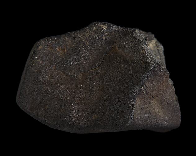 Murchison Meteorite. [E 12324]