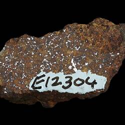 Wiluna Meteorite. [E 12304]
