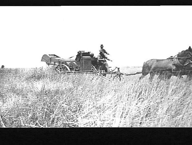 PHOTO TAKEN DEC.1921 AT MR GEO. JENKINSON'S, HORSHAM
