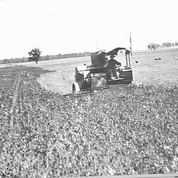 Photograph - H.V. McKay Massey Harris, 10 ft. Auto-Header Harvester, Berrigan, New South Wales, Dec 1932