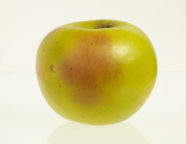 Wax model of an apple with stem, painted mostly yellow with some red.