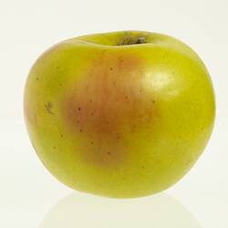 Wax model of an apple with stem, painted mostly yellow with some red.