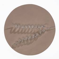 Light brown disc with clear glass capsule-shaped pieces on top.