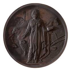 Medal - National Agricultural Society of Victoria, Bronze Prize, Victoria, Australia, 1873
