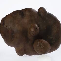 Irregularly shaped brown model of a potato.