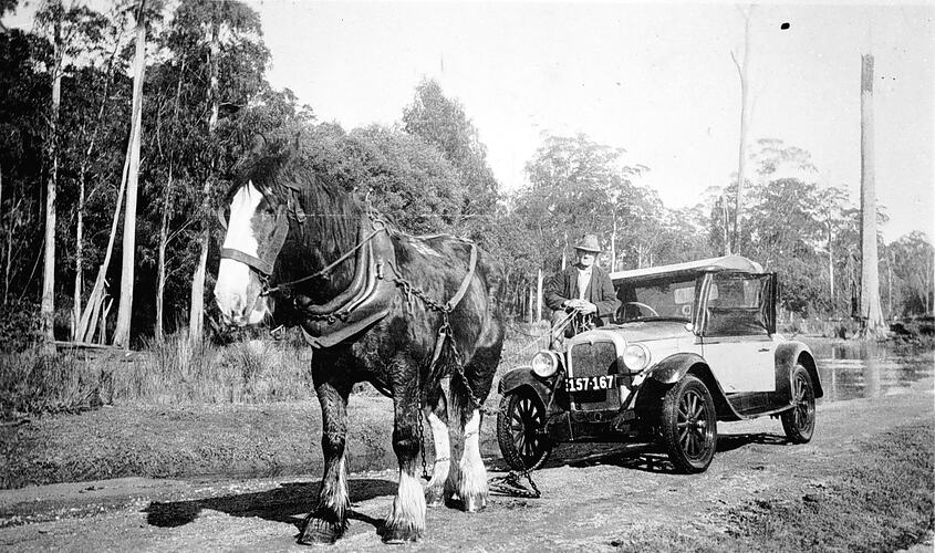 [Horse pulling a car from a bog, Cann River, Gippsland, 1934. On boggy ground, the horse reigned supreme.]