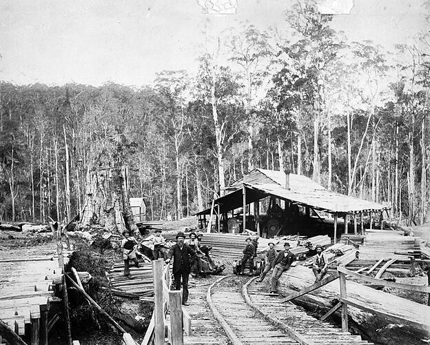 Timber workers in front of Robbin's timber mill, Forrest, circa 1890.