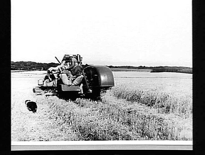 #62. 11TE ENGINE FUNCTIONED HEADER ENGLAND 1944. 19 90
