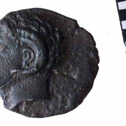 Coin - Diobol, Metapontum, circa 300 BC