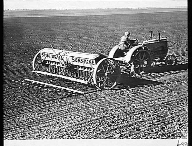 SOWING WHEAT ON MR. G. MCMURTRIE'S FARM AT LUBECK, VIC., USING A 20-ROW `SUNHOE' DRILL WITH `SUNTRAIL' STUMP-JUMP SMOOTHING HARROWS BEHIND, DRAWN BY SUNSHINE MASSEY HARRIS TRACTOR: JUNE 1946