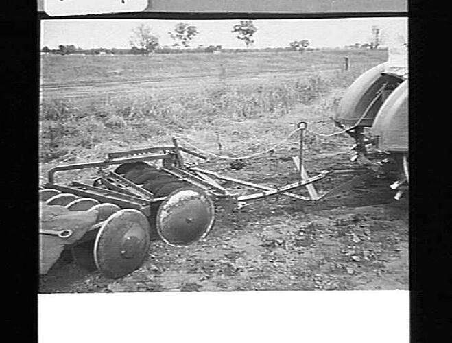 EXP. OFF-SET DISC CULTIVATOR AT WORK IN ORCHARD AT KYABRAM, VIC: JUNE 1943