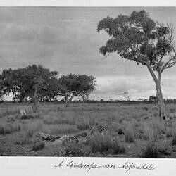 Photograph - 'A Landscape Near Aspendale', by A.J. Campbell, Victoria, circa 1895