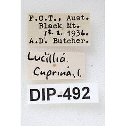 Specimen labels.