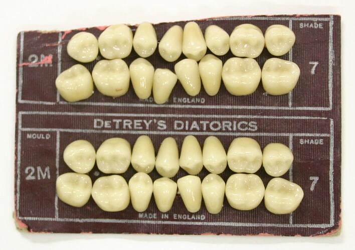 two sets of 16 porcelain teeth
