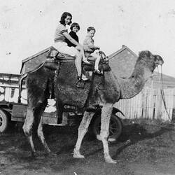Digital Photograph - Holden Brothers Circus, Woman & Two Children on Camel with Boy Leading Them, 1932-1933